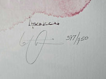 Load image into Gallery viewer, Framed Print "Regatta at Sunset"...signed / numbered / COA...by Michael Atkinson