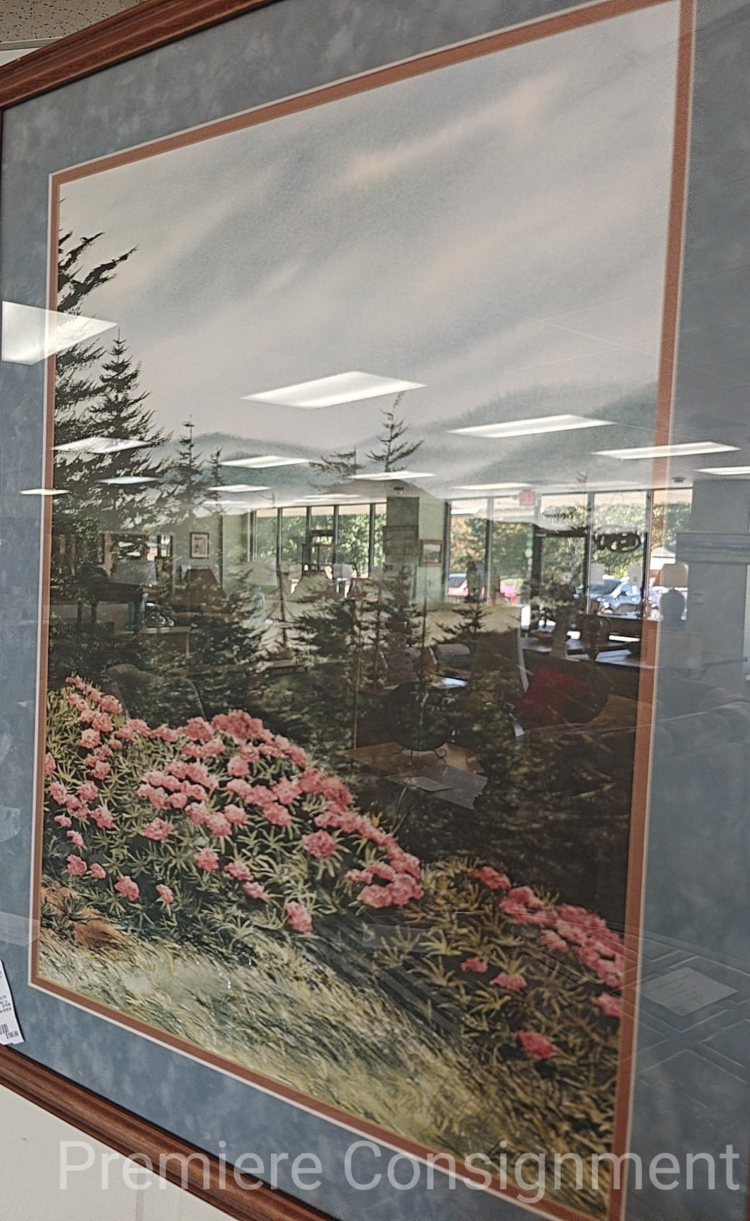 Framed Print 