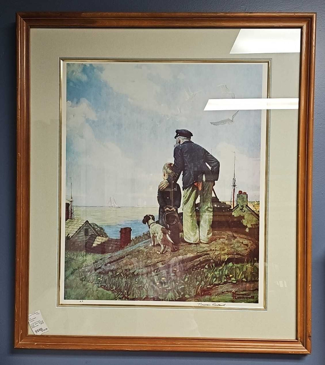 Framed Print 