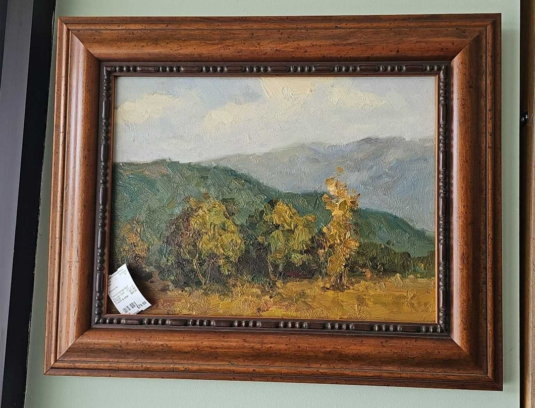 Framed Canvas  Painting 