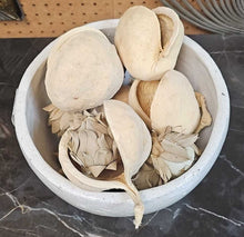 Load image into Gallery viewer, Pottery Bowl w/ Dried Pods
