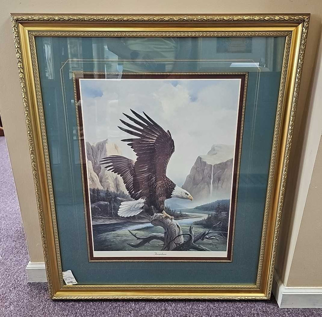 Large Framed Print 