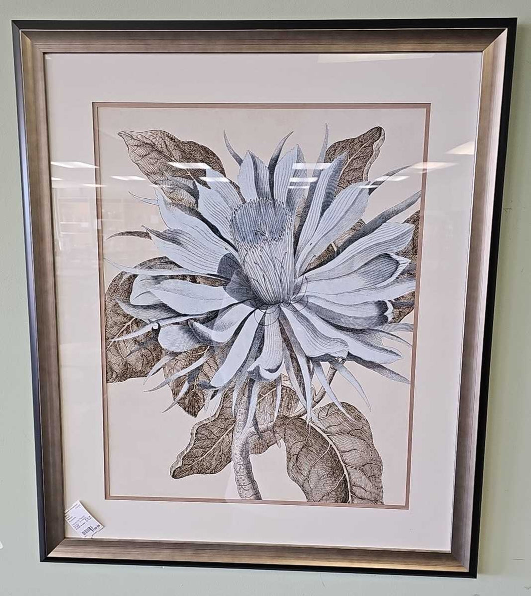 Framed Print 