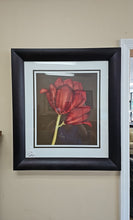 Load image into Gallery viewer, Framed Print &quot;Red Rose&quot;
