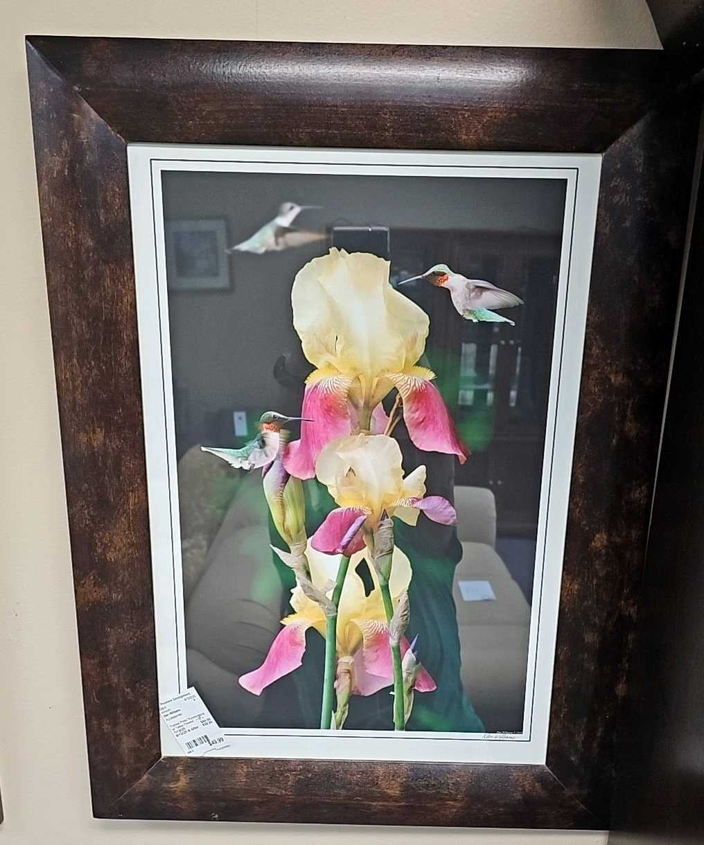 Framed Photo 