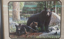 Load image into Gallery viewer, Framed Print &quot;Black Bears&quot;...by Kevin Daniel
