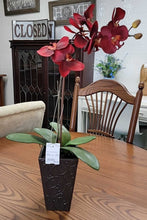 Load image into Gallery viewer, Red Orchid Floral
