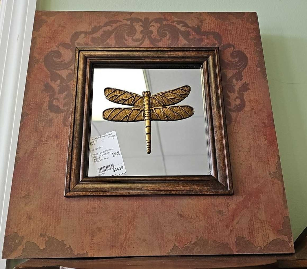 Small Framed Mirror w/ Dragonfly